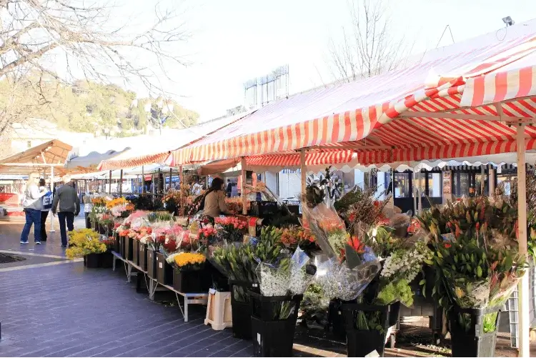 France Flower Market in Cours Saleya