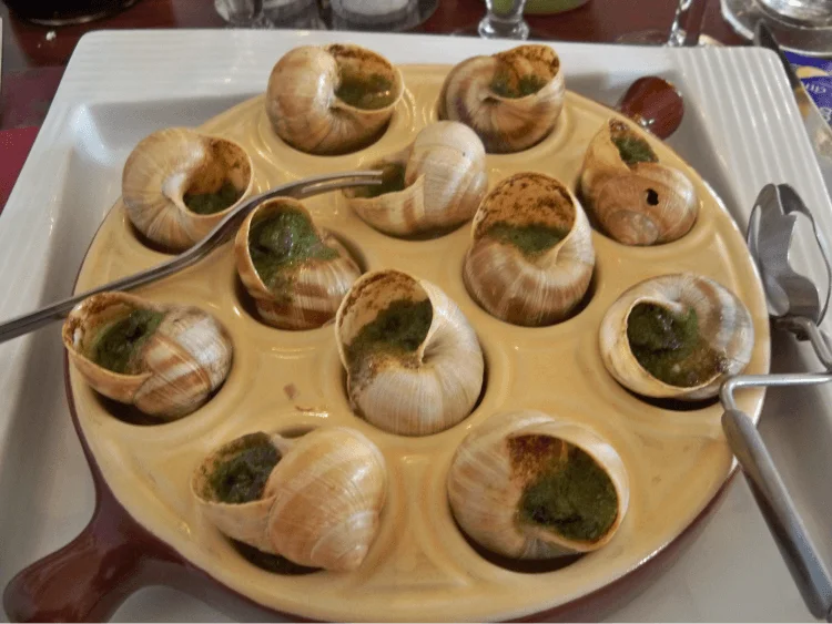 France Food Escargot 