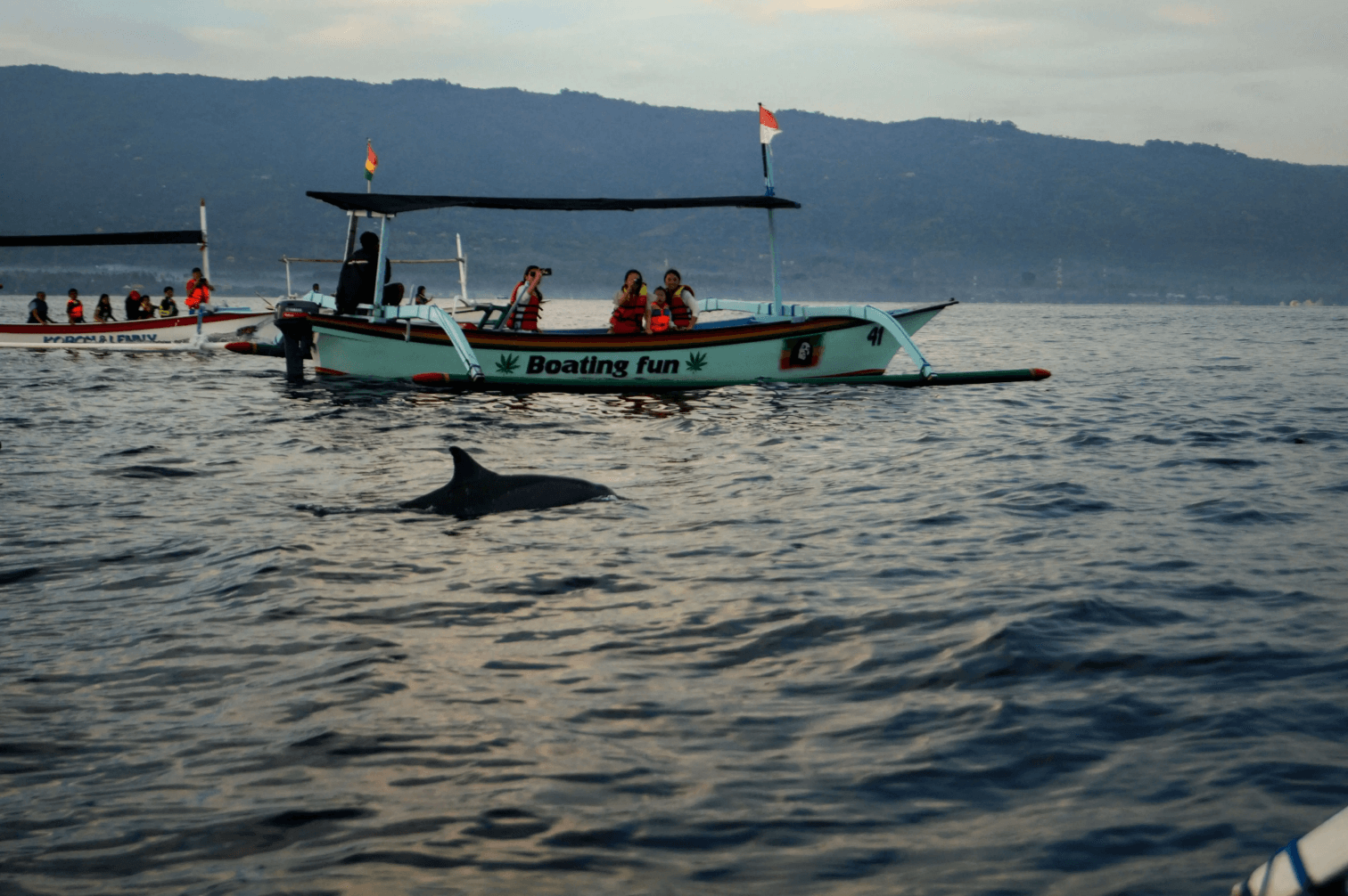 Indonesia Dolphin Watching in Lovina