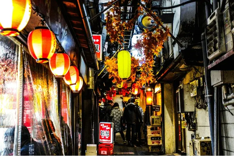 Hozenji Yokocho