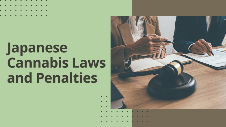 Japanese Cannabis Laws and Penalties