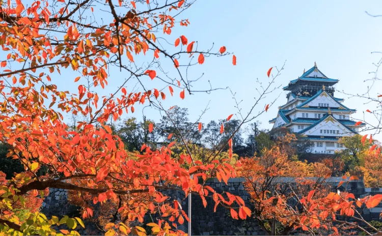 Japanese Kyoto