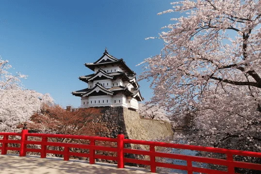 When Do Cherry Blossoms Bloom in Japan Hirosaki