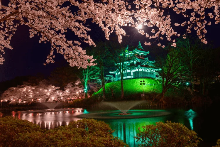 When Do Cherry Blossoms Bloom in Japan Takada