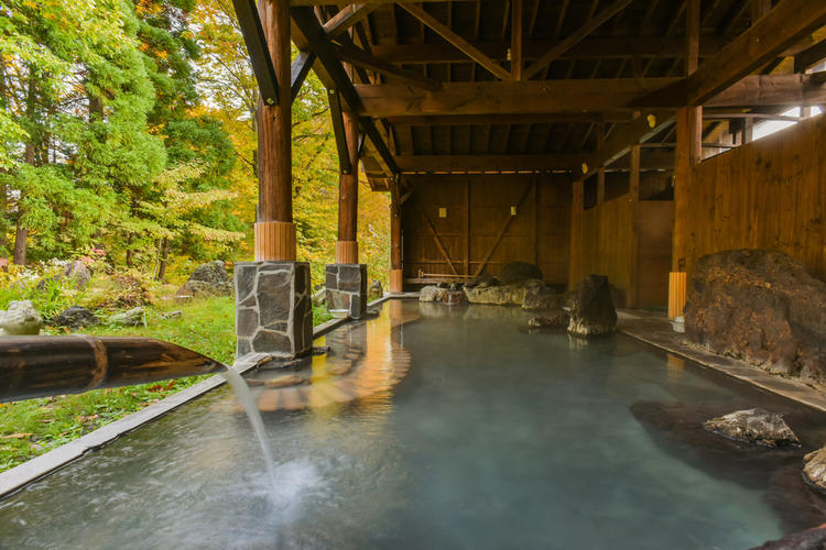 Winter in Japan Onsen