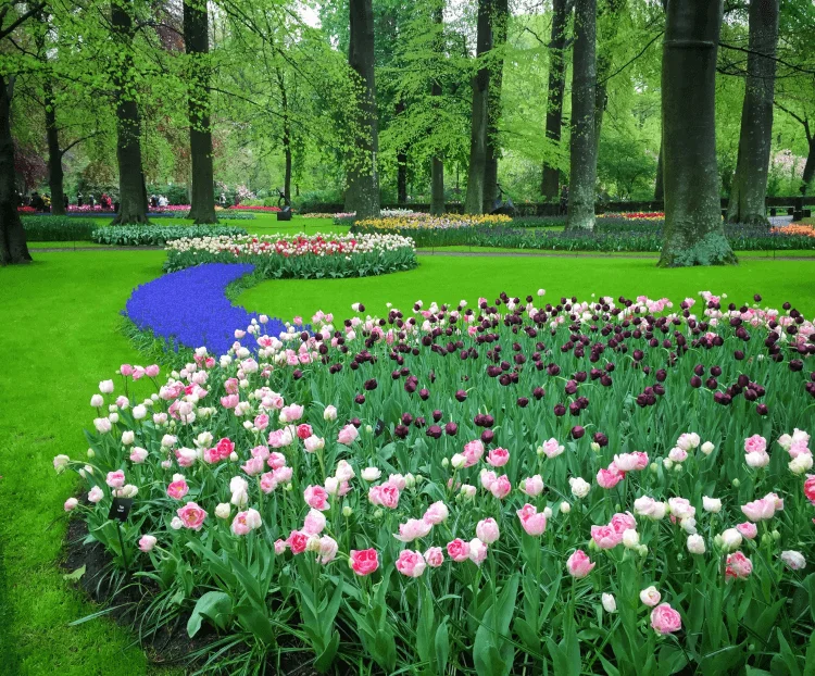 Netherlands Keukenhof Gardens