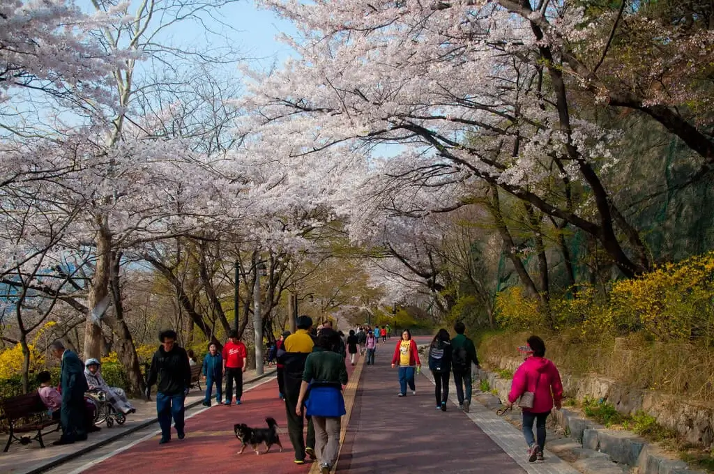 South Korea Namsan Park