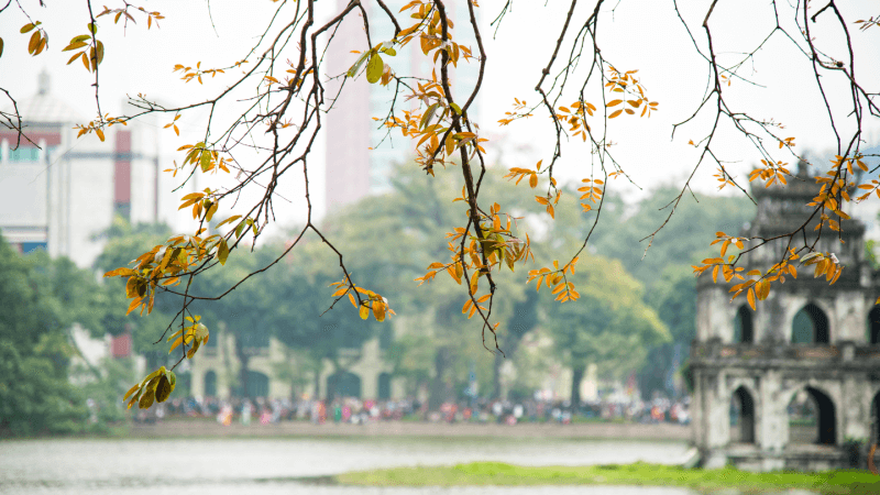 Northern Vietnam Sprin