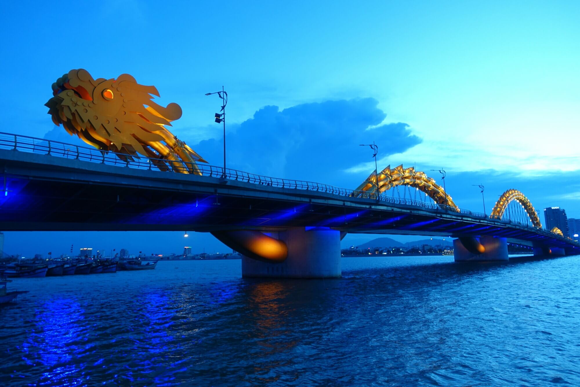 Vietnam Dragon Bridge