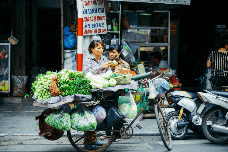 Vietnam People