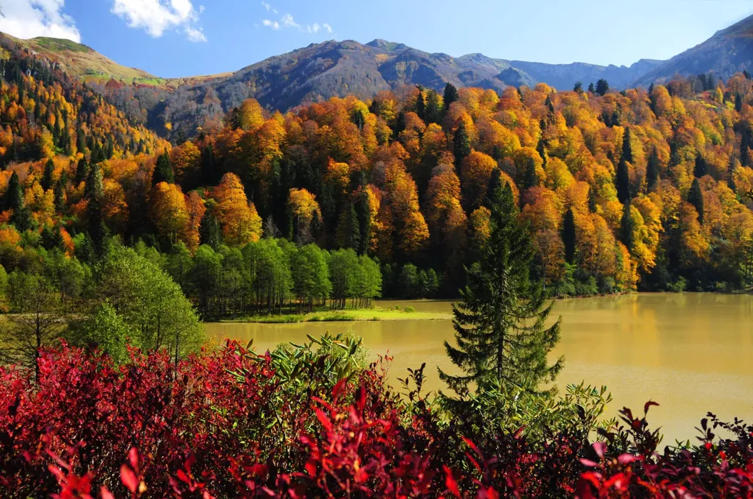 Autunno in Turchia