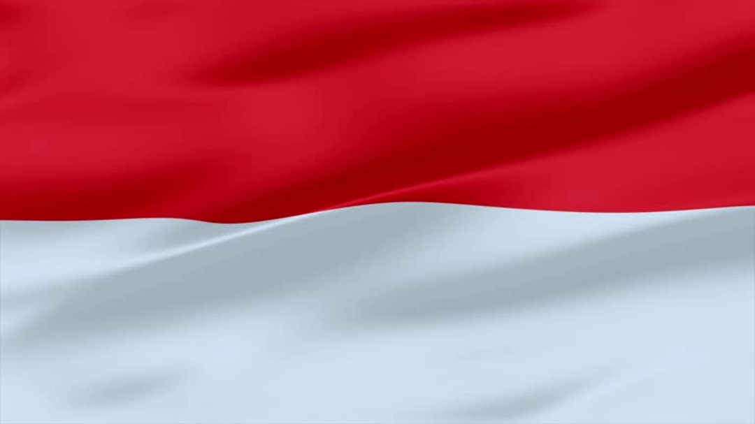 Vlag van Indonesië