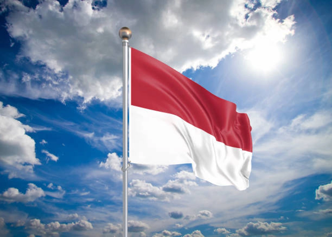 Indonesische Vlag Omslag