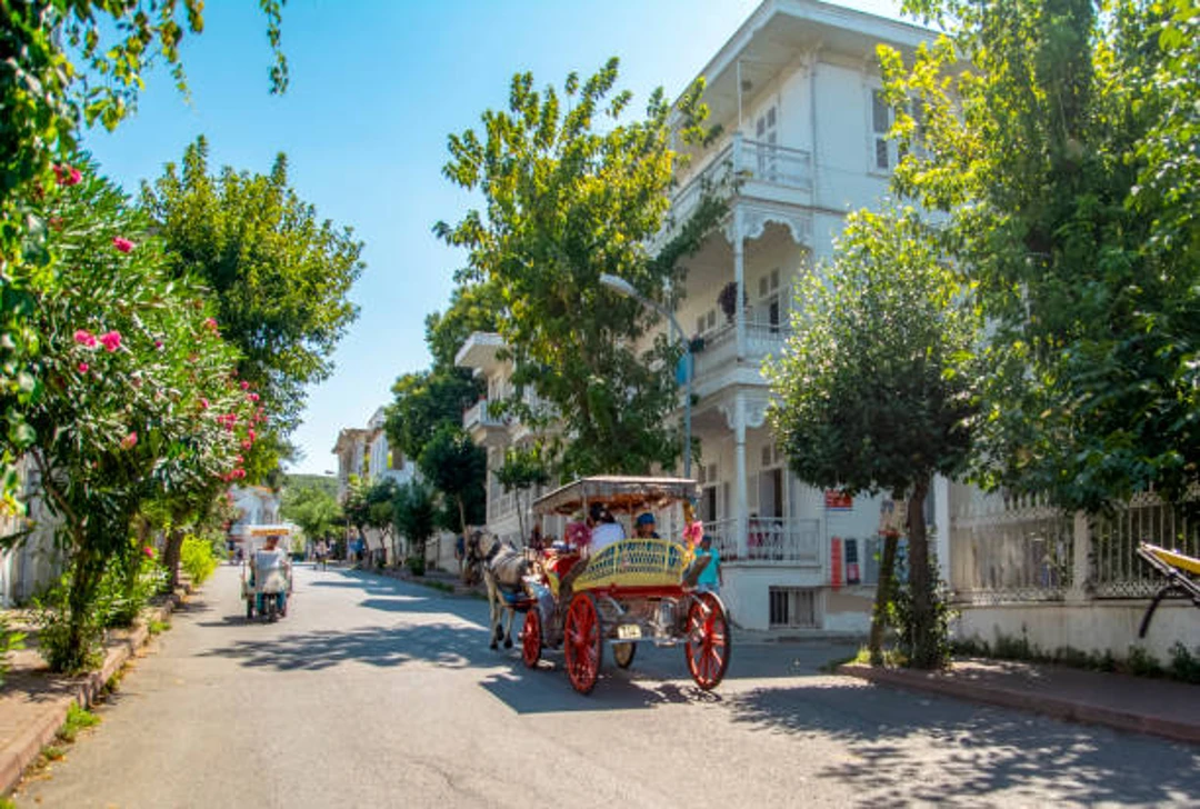 Istanbul Adalar Transportation