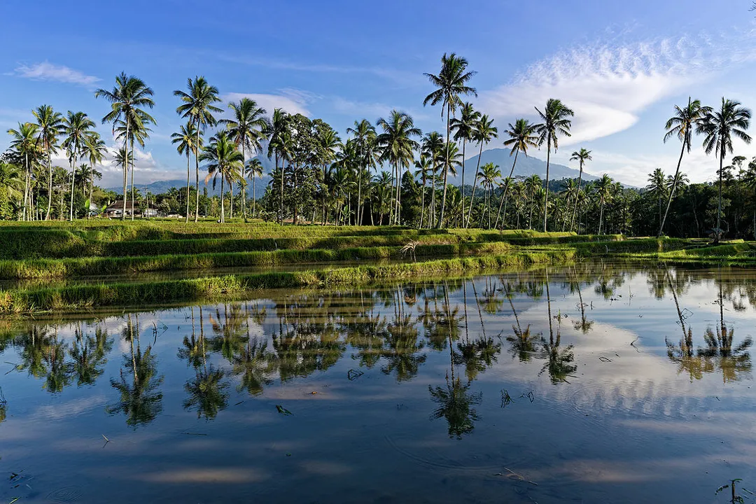 Java Island Indonesia