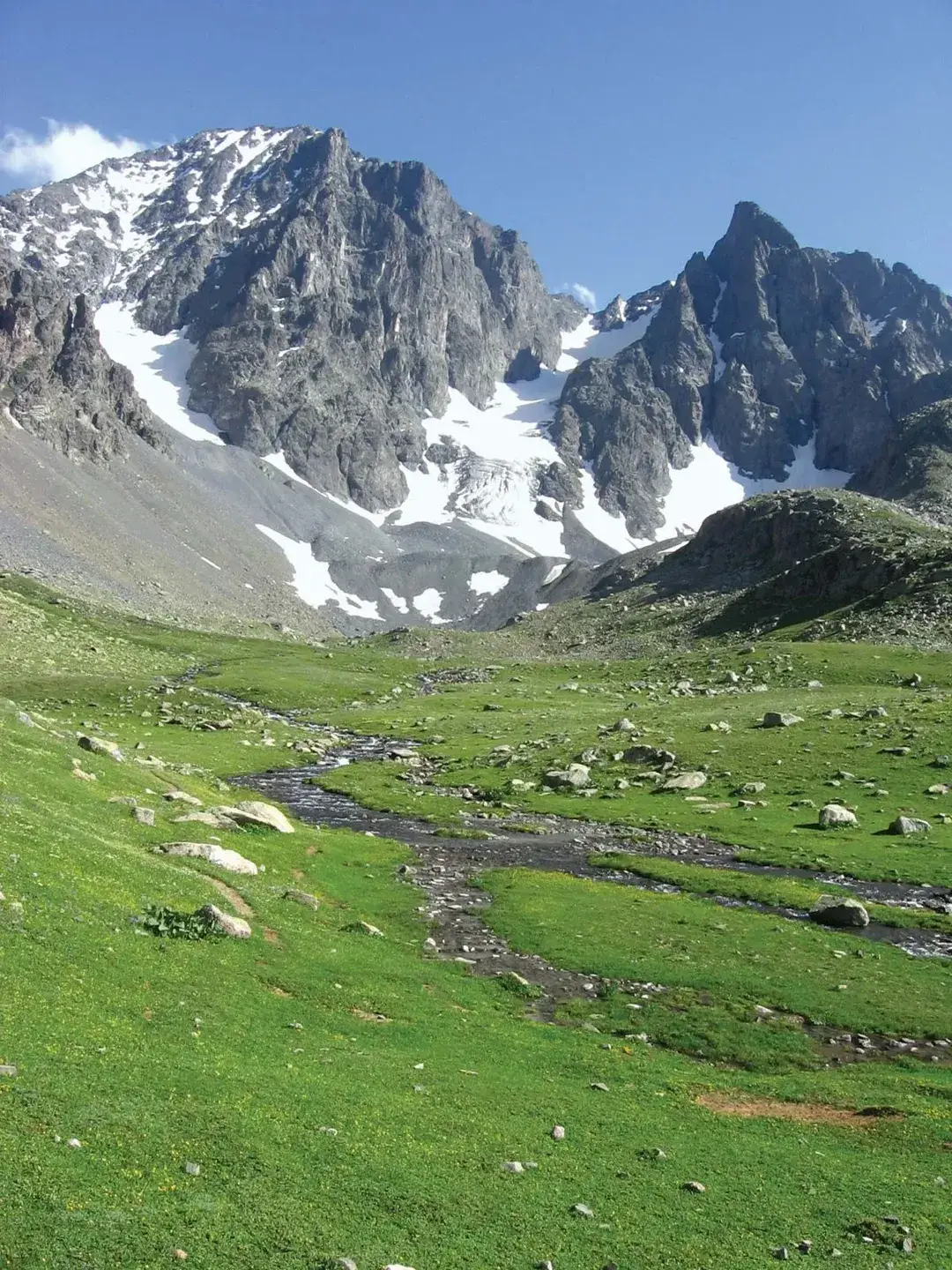 Kaçkar Dağı Zirvesi Pontik Dağları Türkiye 