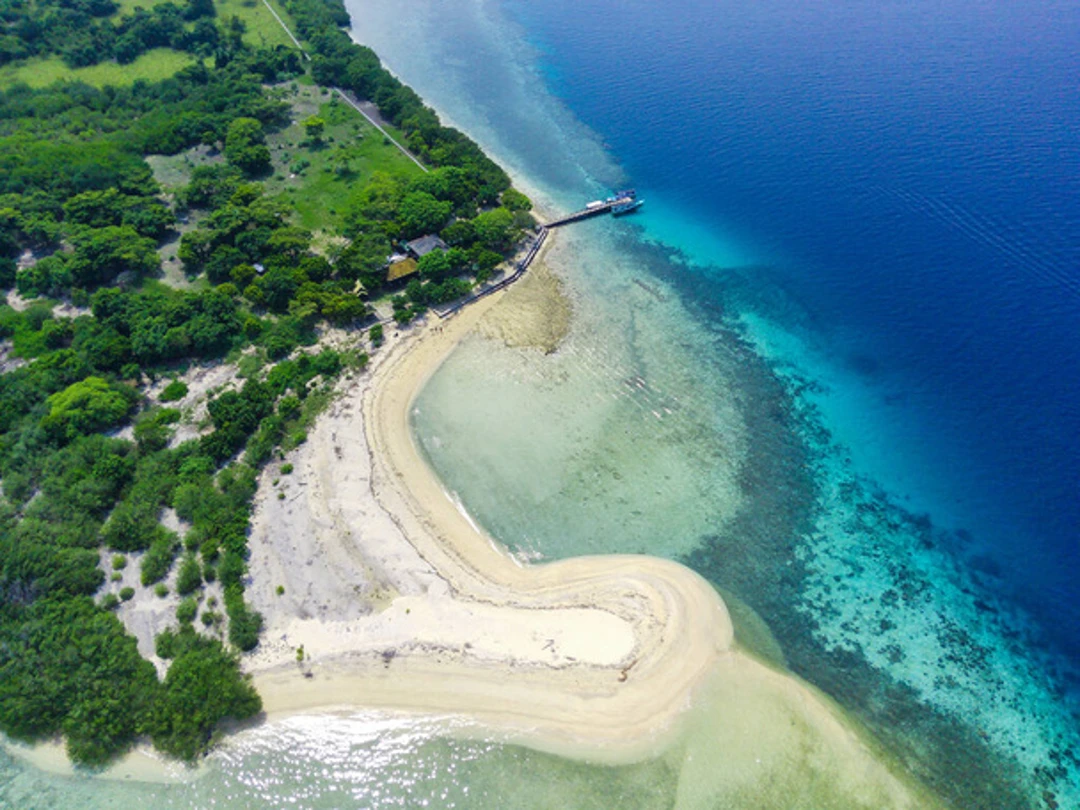 Menjangan Island