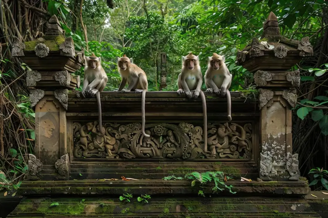 Sacred Monkey Forest