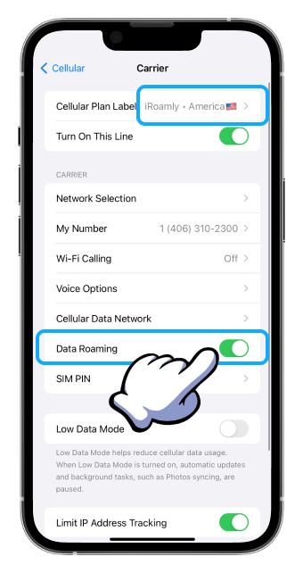 iOS Cellular Carrier Data Roaming untuk Iroamly On
