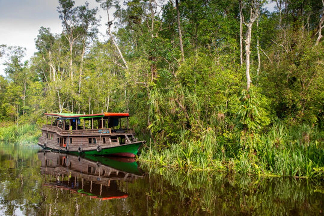 Take a River Cruise in Kalimantan