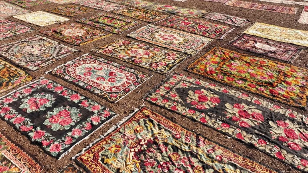 Turkish Rugs